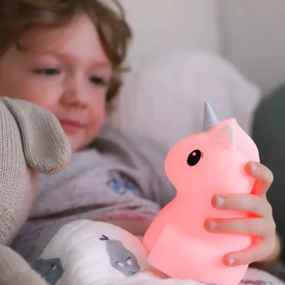 Duski Dream Guardian: Silver Unicorn Duski